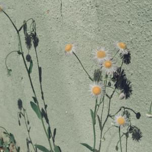 裸体怀孕㊙️无遮挡
