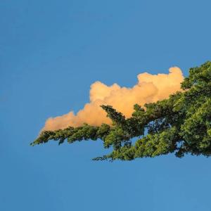 裸体怀孕㊙️无遮挡
