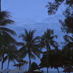 裸体怀孕㊙️无遮挡
